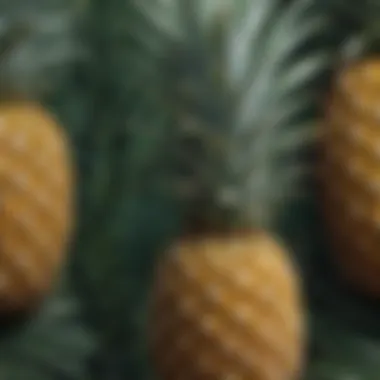 Close-up of the pineapple pattern on a cycling jersey.