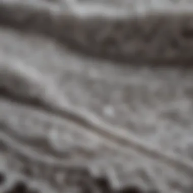 Close-up view of intricate lace fabric