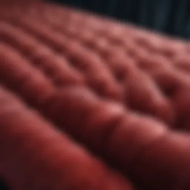 Close-up of velvet fabric showcasing texture and color