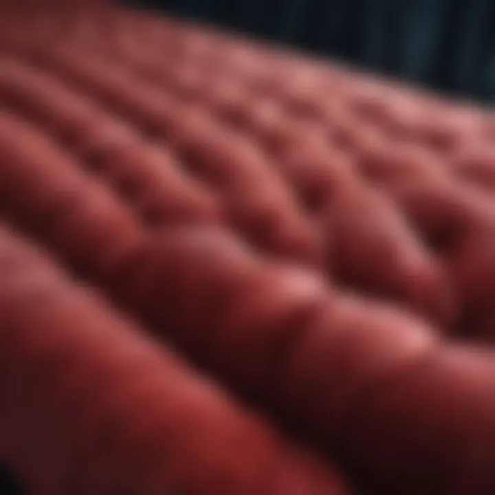 Close-up of velvet fabric showcasing texture and color