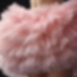 A close-up view of a fluffy tutu skirt showcasing its layers and texture.